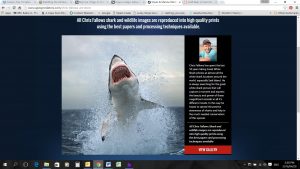 chris-fallows-of-apex-shark-expeditions
